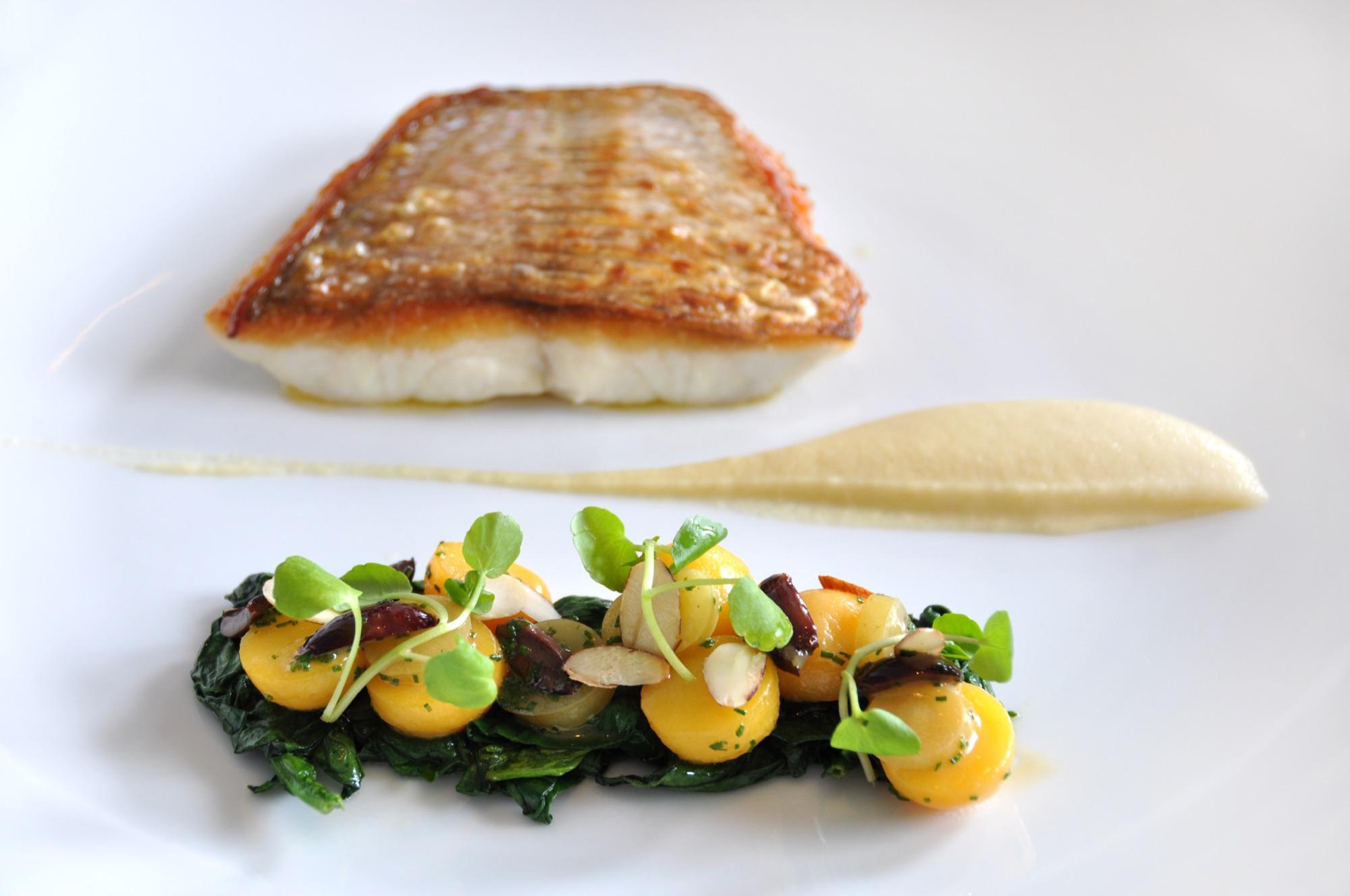 Pan-seared snapper with golden potatoes, spinach, and parsnip purée — plated